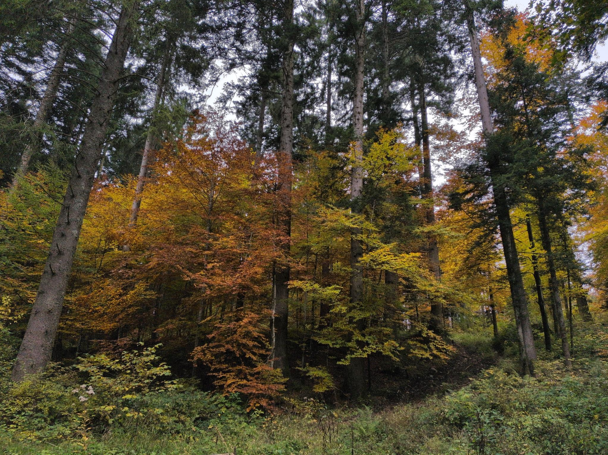 Fünf geführte Exkursionen im Oktober
