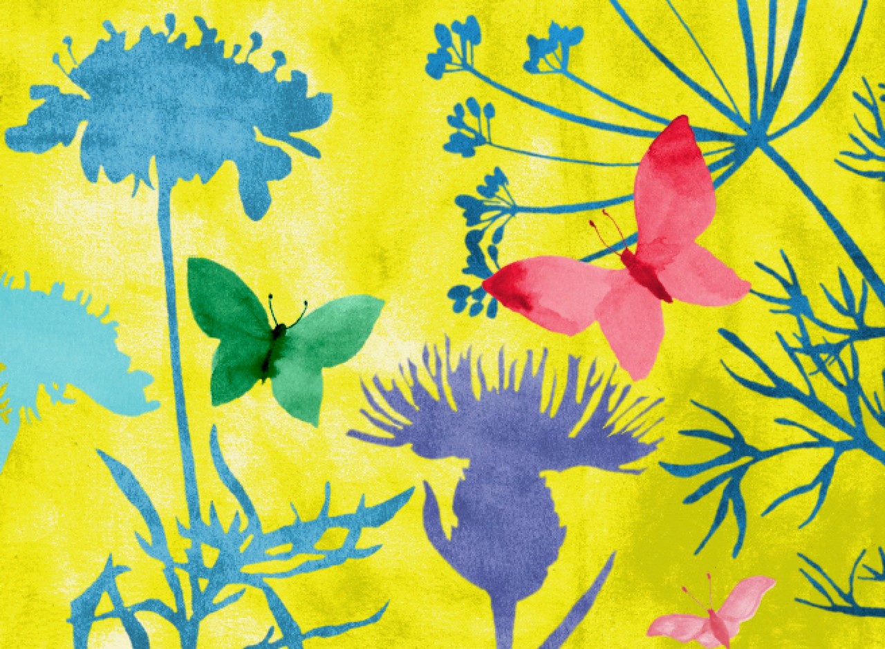 Soirée d’information : Corridor à papillons autour du lac de Bienne