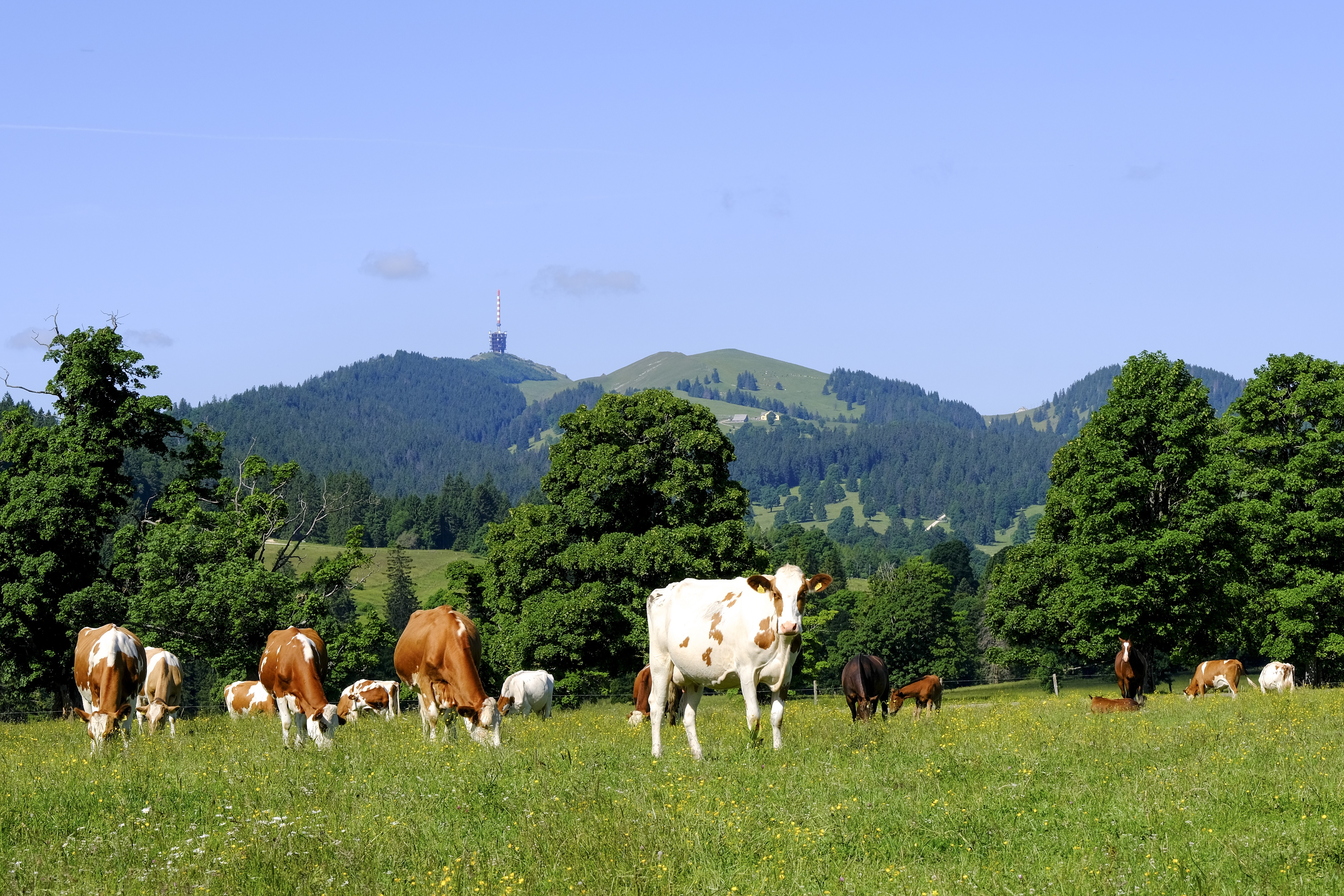 Projekt «Objectif Chasseral»: zweites Gipfeltreffen rund um die Zukunft des Chasseral! 